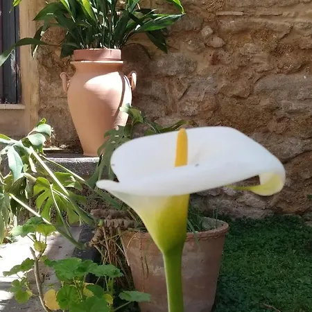 Apartamento Giardinetto Papale, Centralissimo *