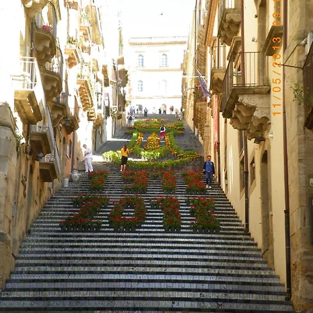Giardinetto Papale, Centralissimo